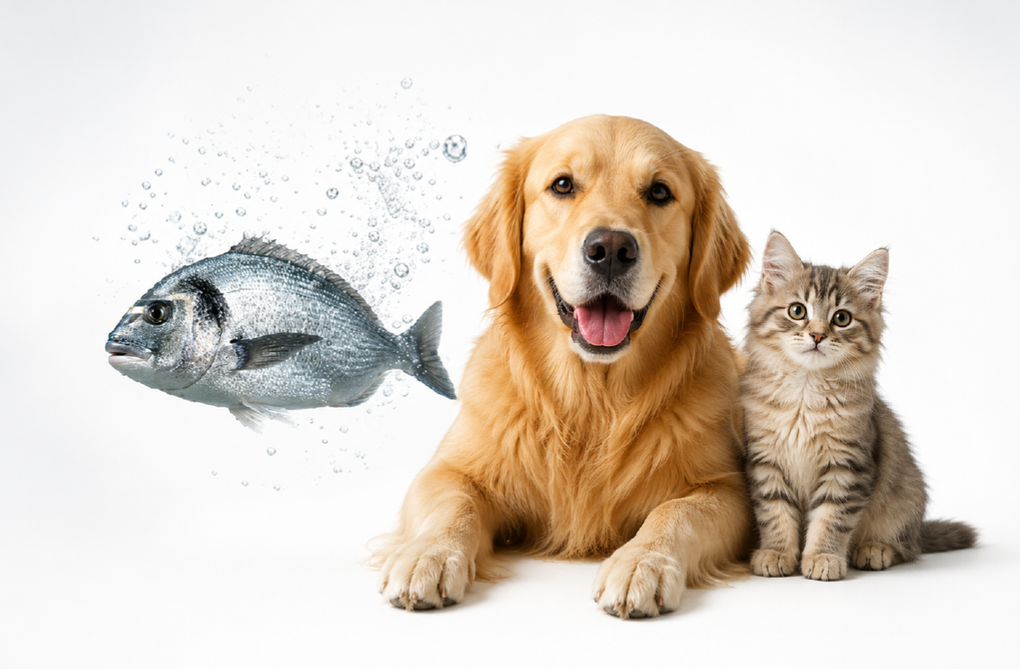 Pet & Balık Yem Katkıları