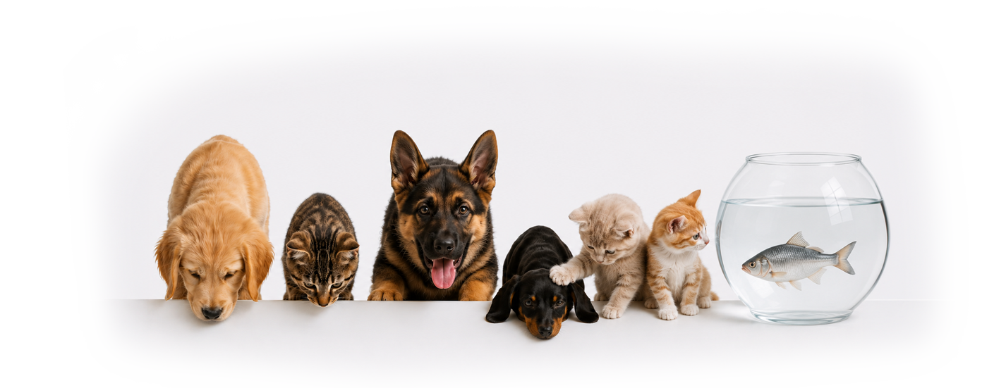 Pet & Balık