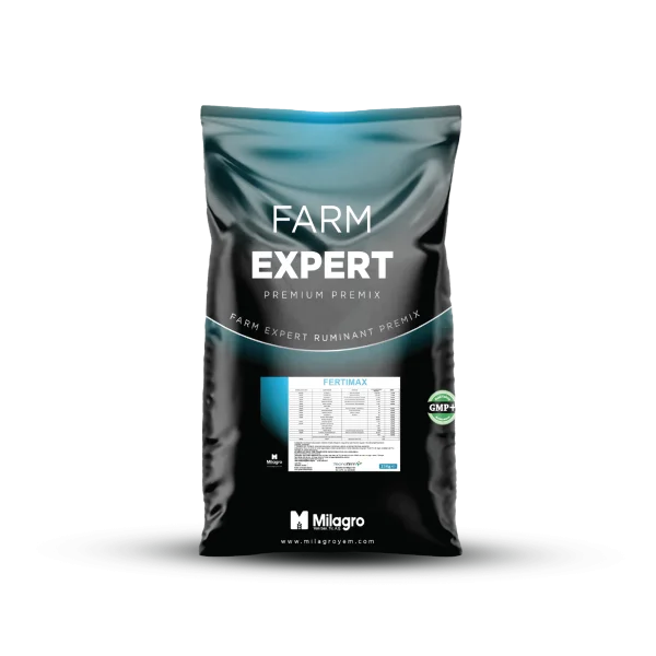 Beef Expert F