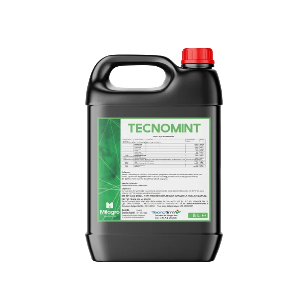 TECNOMİNT