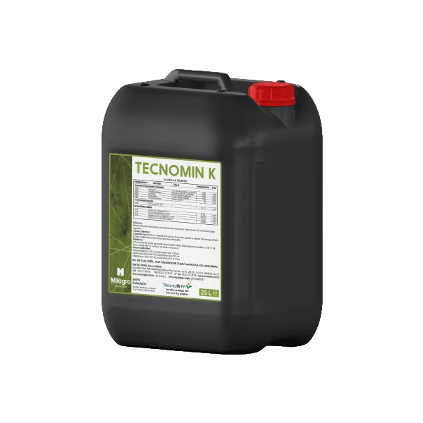 TECNOMİN K