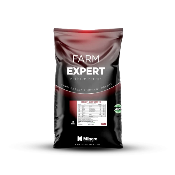 Beef Expert S