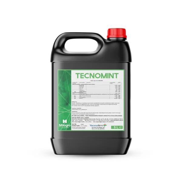 TECNOMİNT