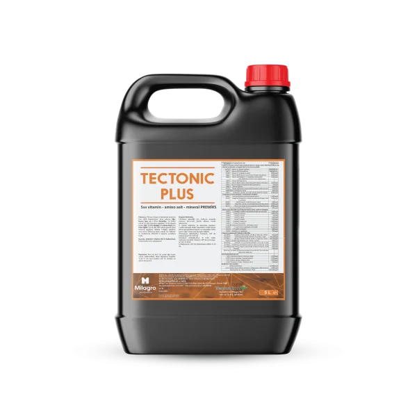 TECTONIC PLUS